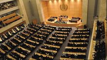 La Asamblea Mundial de la Salud decidirá el camino a seguir tras la adopción de una resolución
