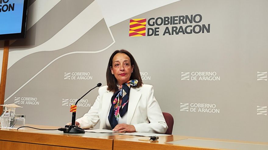 Archivo - La consejera de Bienestar Social y Familia, Carmen Susín, en rueda de prensa