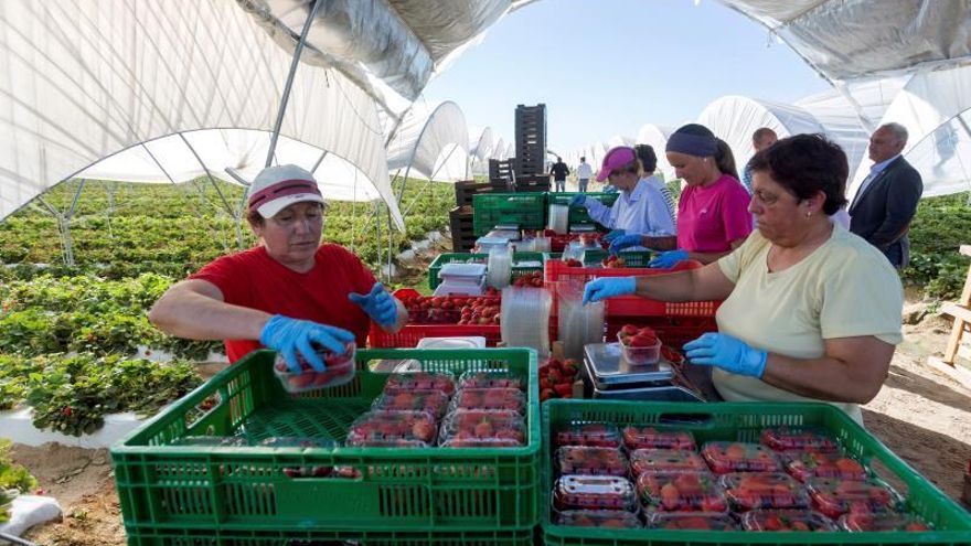 Las consecuencias de la deportación de millones de inmigrantes de Vox: vidas partidas y daño al crecimiento económico y a las pensiones