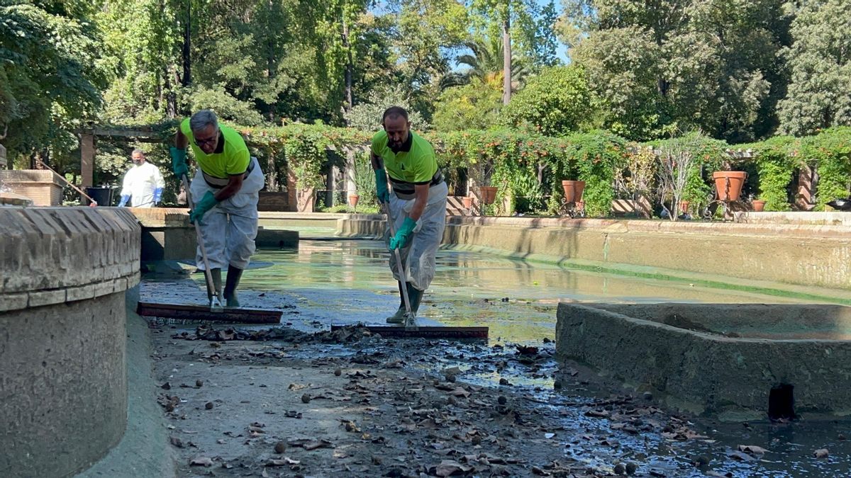 Cierre preventivo de los jardines del Alcázar y el parque Miraflores en Sevilla tras aparecer aves muertas