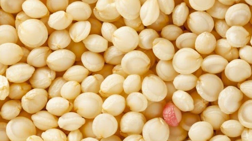 Amaranto: cuáles son los beneficios del alimento que usaban las culturas precolombinas y ahora la NASA