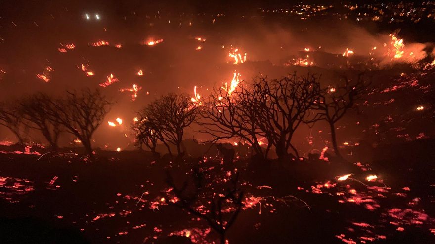 Incendios forestales: no todo es cambio climático