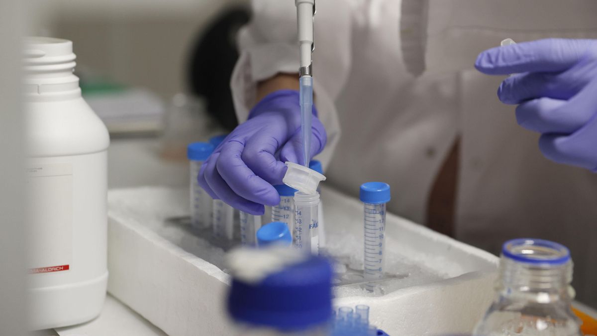 El salto a la edición genética de embriones: ¿quién decide hasta dónde puede llegar la ciencia?