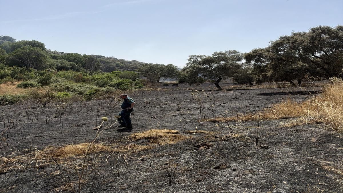 El SEPRONA investiga a un trabajador por provocar un incendio forestal al manejar una herramienta mecánica