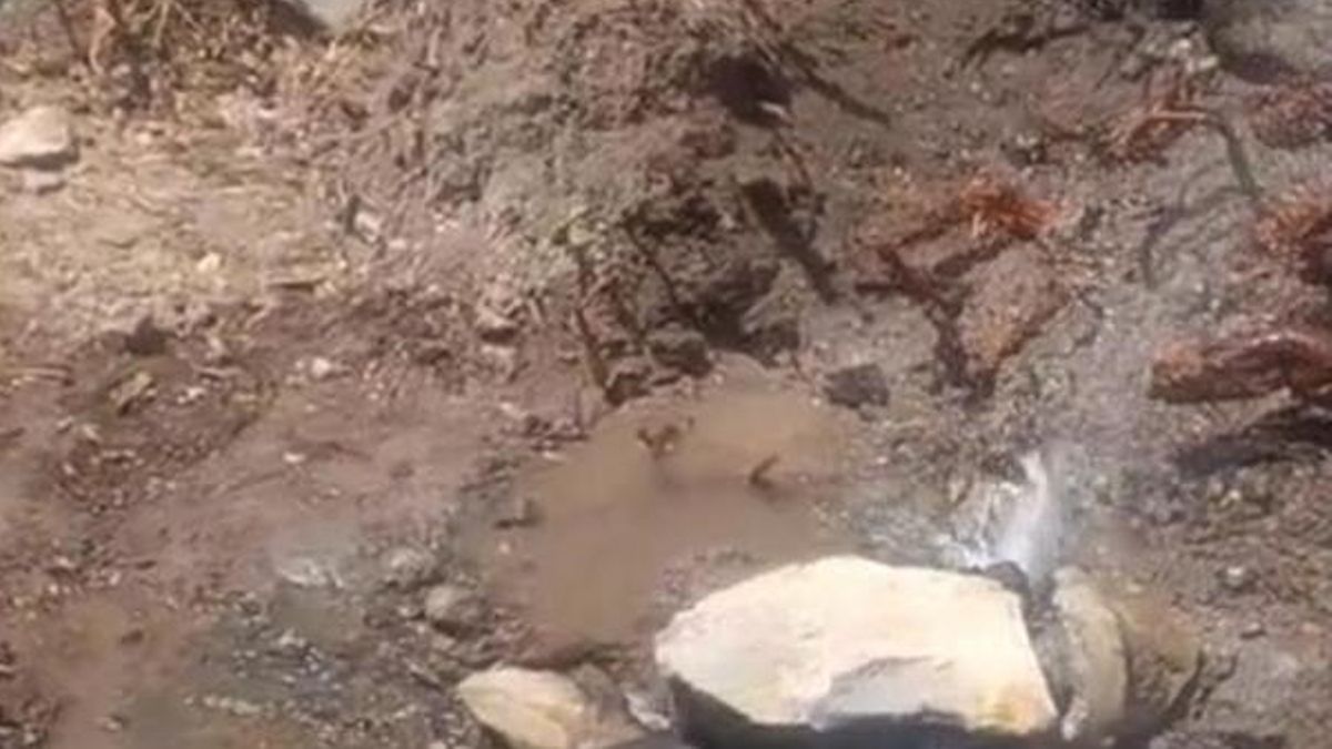 Avería de una tubería en Santa Cruz de Tenerife.