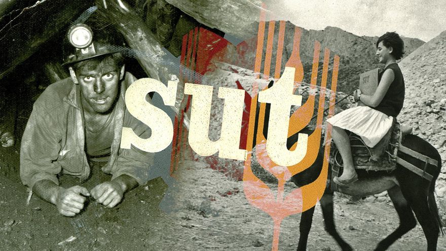 Servicio Universitario del Trabajo