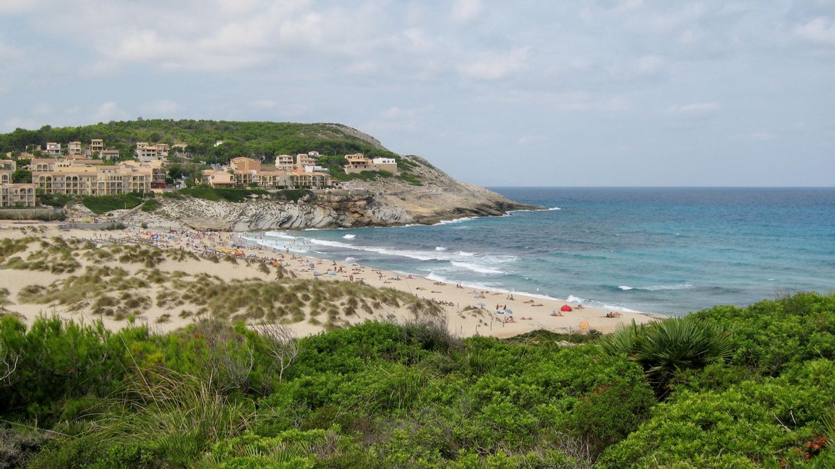 Las dunas de Cala Mesquida albergan especies endémicas y desempeñan un papel esencial en la protección del litoral y la biodiversidad