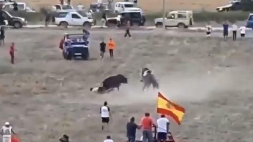 PACMA denuncia un encierro en una localidad de Guadalajara que acabó con varias personas y un caballo corneados