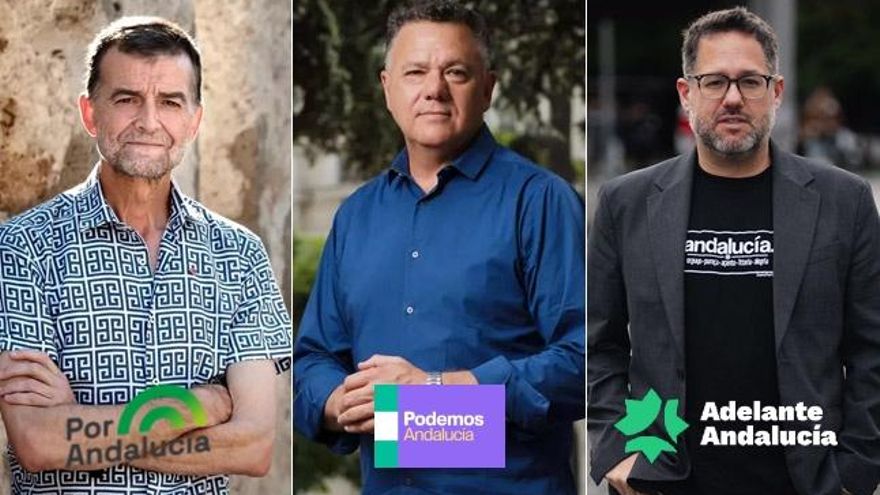 Podemos apura la cuenta atrás hasta el 3 de abril para decidir si concurre a las andaluzas solo o en coalición con Maíllo