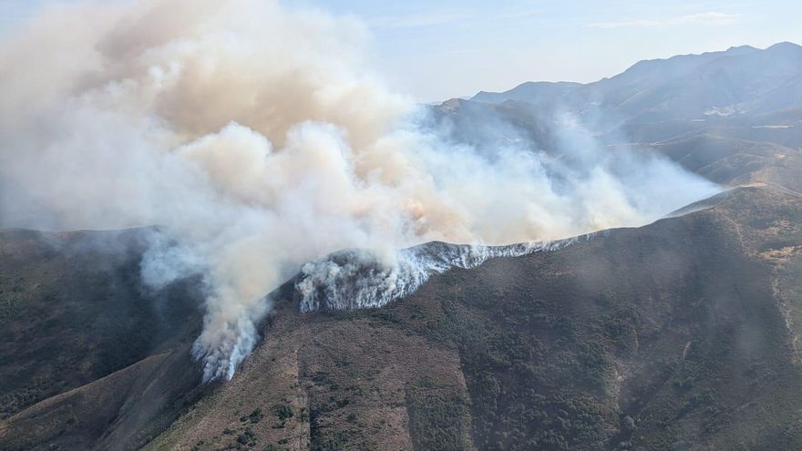 Imagen del incendio en Barniedo de la Reina (León)