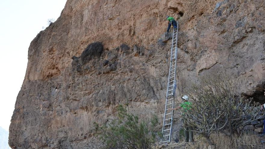 Más de 8.000 restos de insectos revelan el pasado oculto de una cueva funeraria de Gran Canaria: antes fue un granero