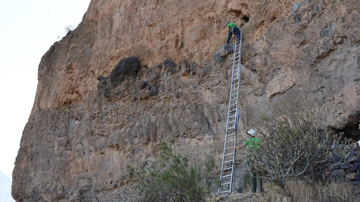 Más de 8.000 restos de insectos revelan el pasado oculto de una cueva funeraria de Gran Canaria: antes fue un granero