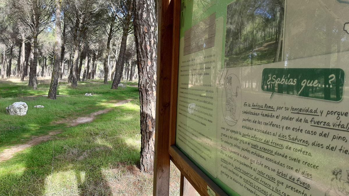 Las rutas trazadas por el frondoso bosque permiten conectar activamente los diferentes núcleos de población de ambas provincias