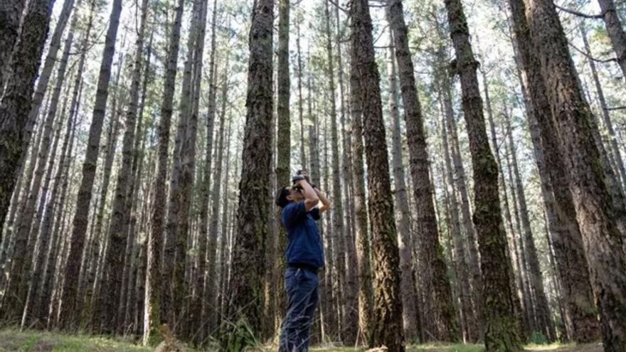Profesionales del sector audiovisual de Estados Unidos buscan espacios de rodaje en Tenerife