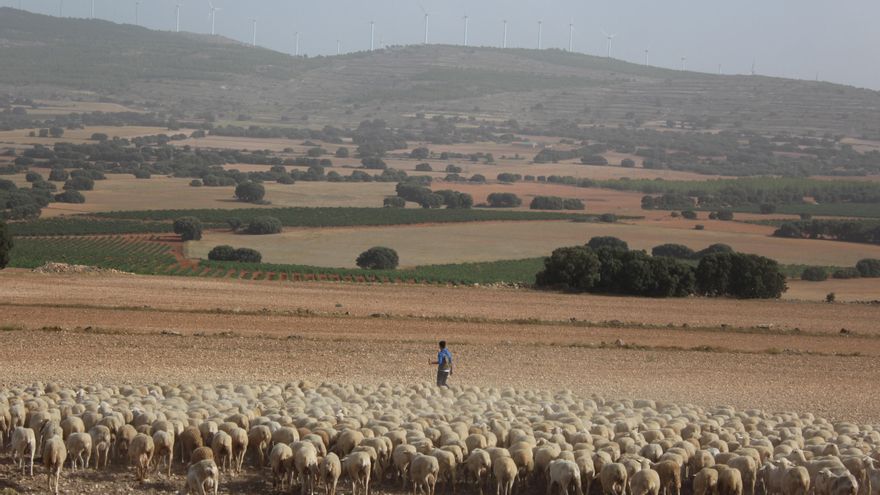 El hilo invisible de al-Ándalus en Castilla-La Mancha