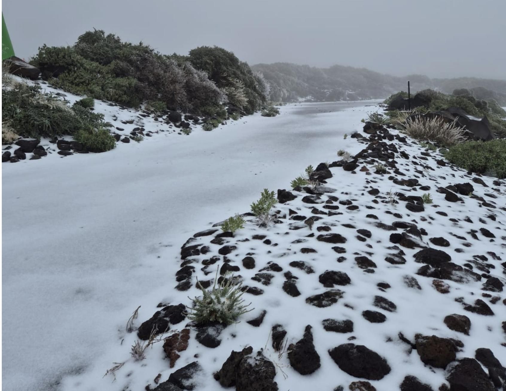 Vía interior del Observatorio Astrofísico del Roque de Los Muchachos, en la tarde de este miércoles, con nieve.
