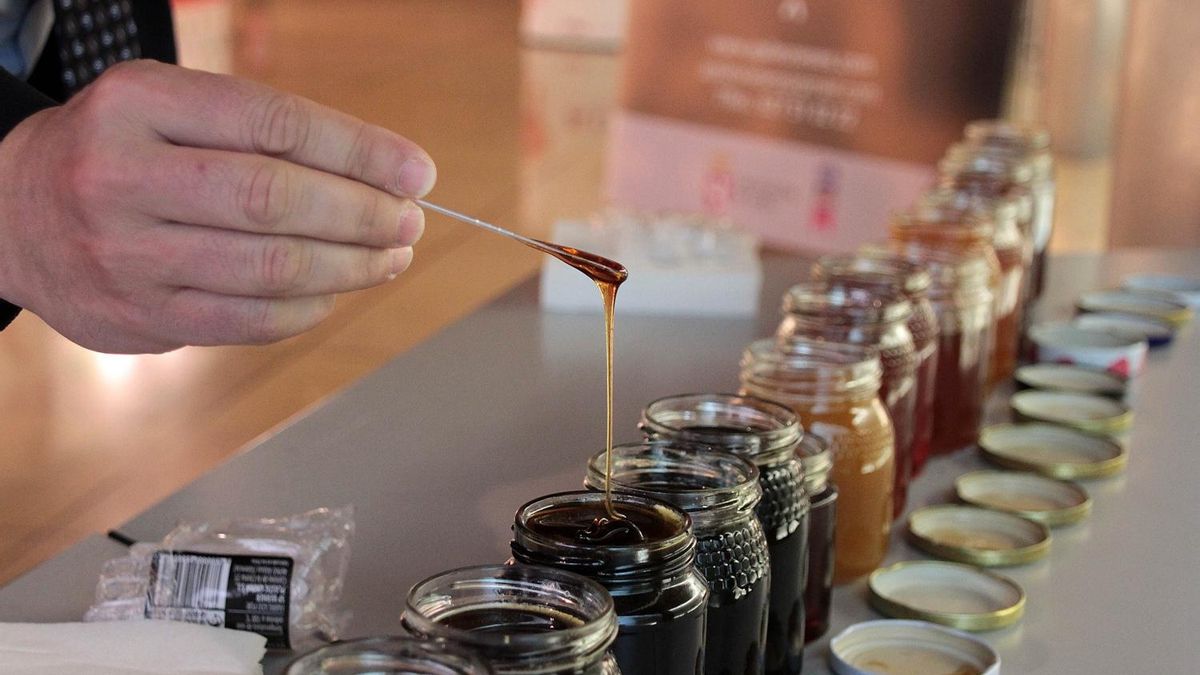 Las mieles de León son auténticas y de altísima calidad, ya que reciben premios nacionales e internacionales.