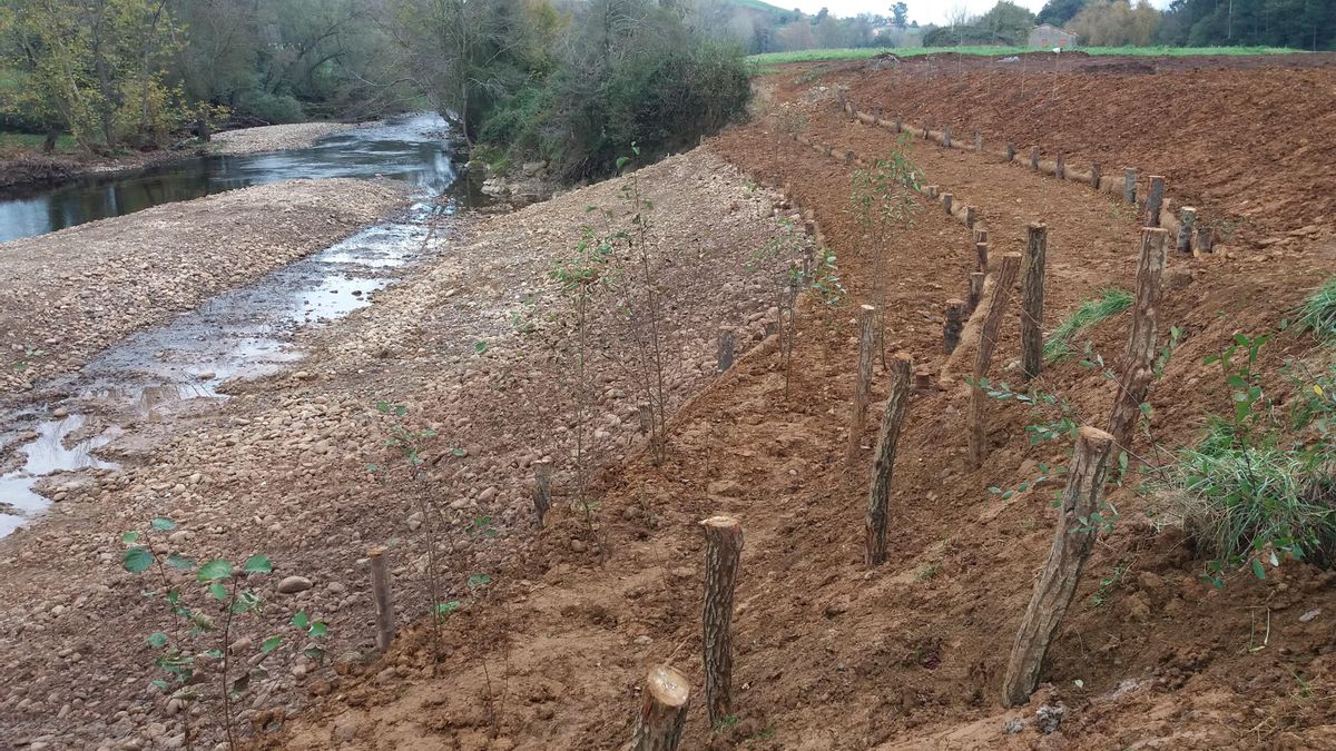 Río Miera