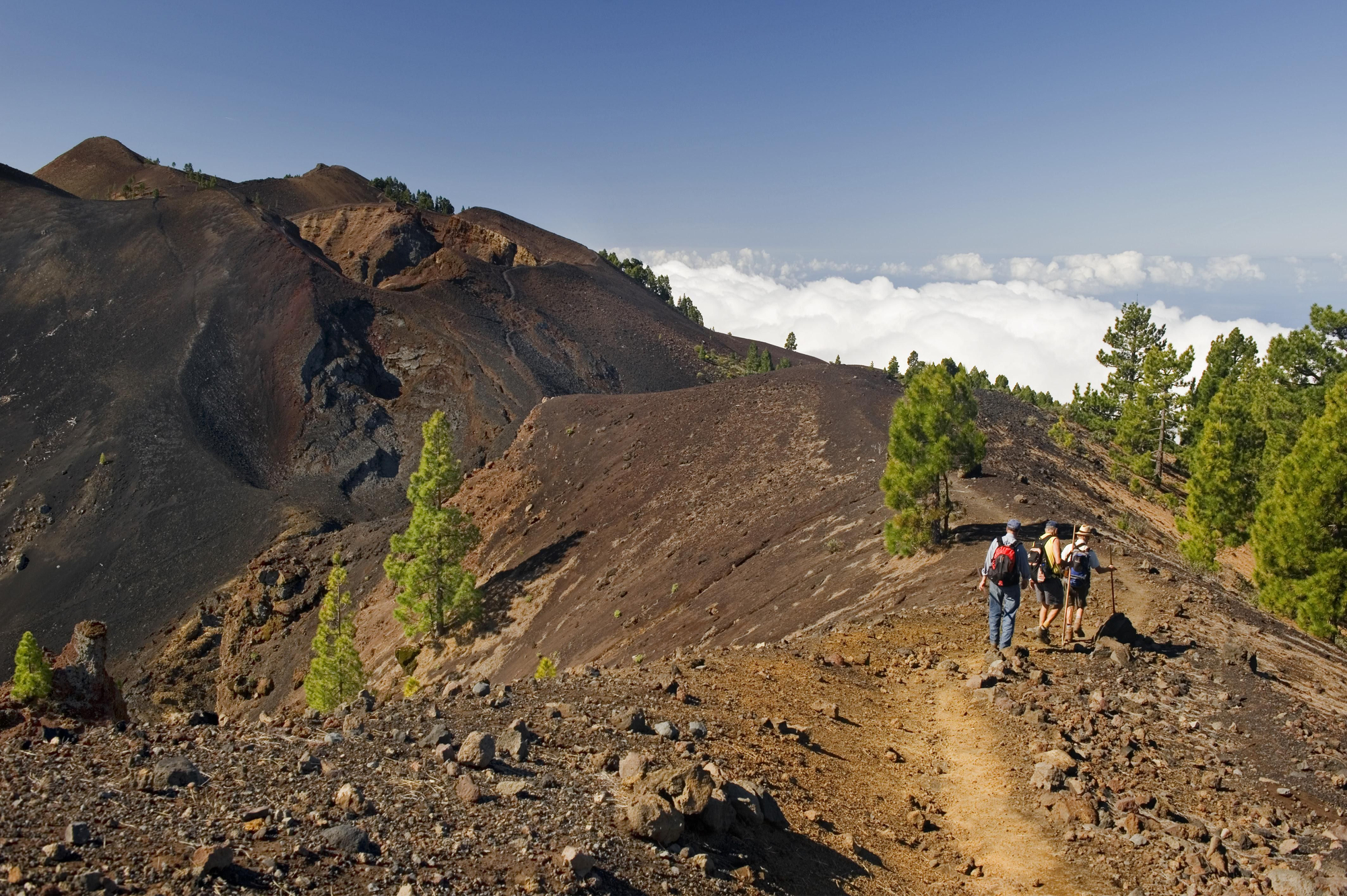Parte del sendero de la Ruta de los Volcanes. 