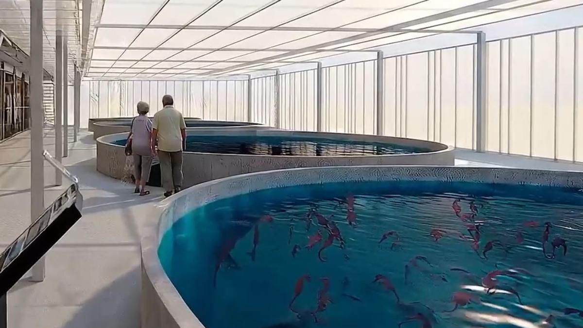 Este centro de recuperación de especies del Mar Menor tendrá 21 tanques marinos y 17 acuarios