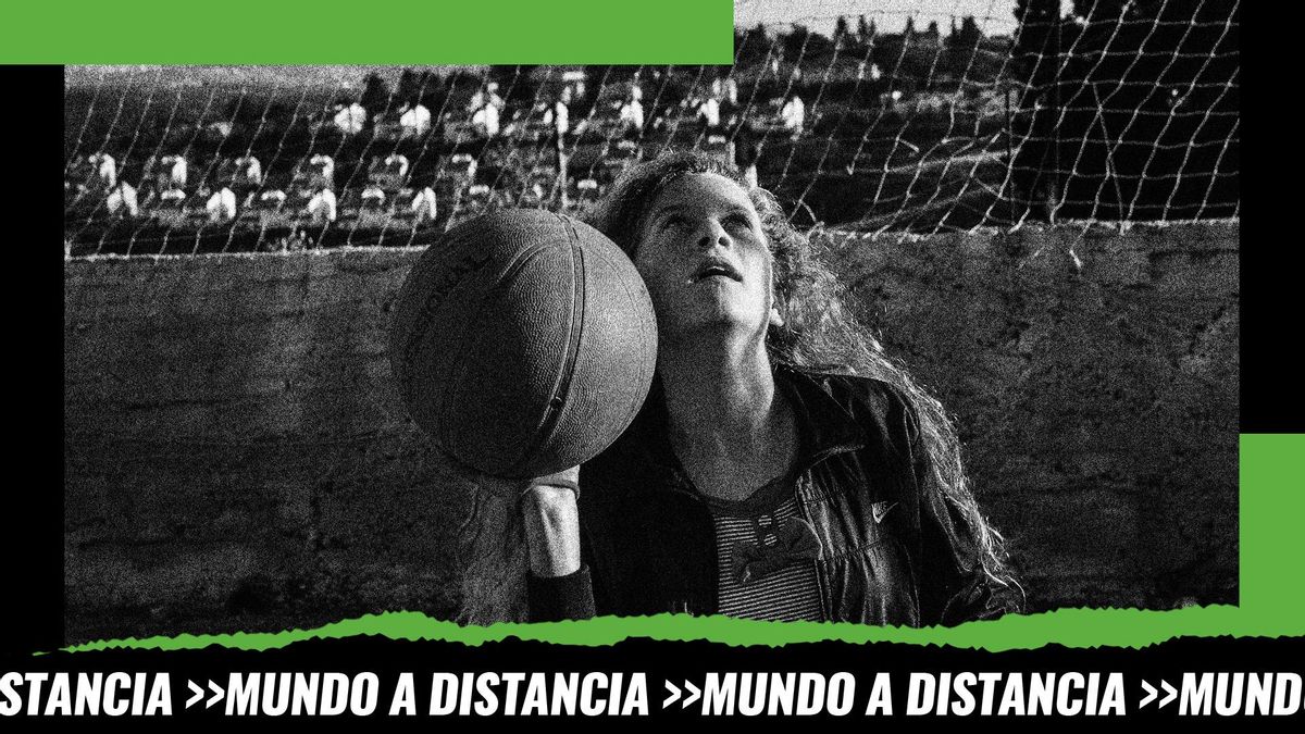 1333 grafica sin logo 2