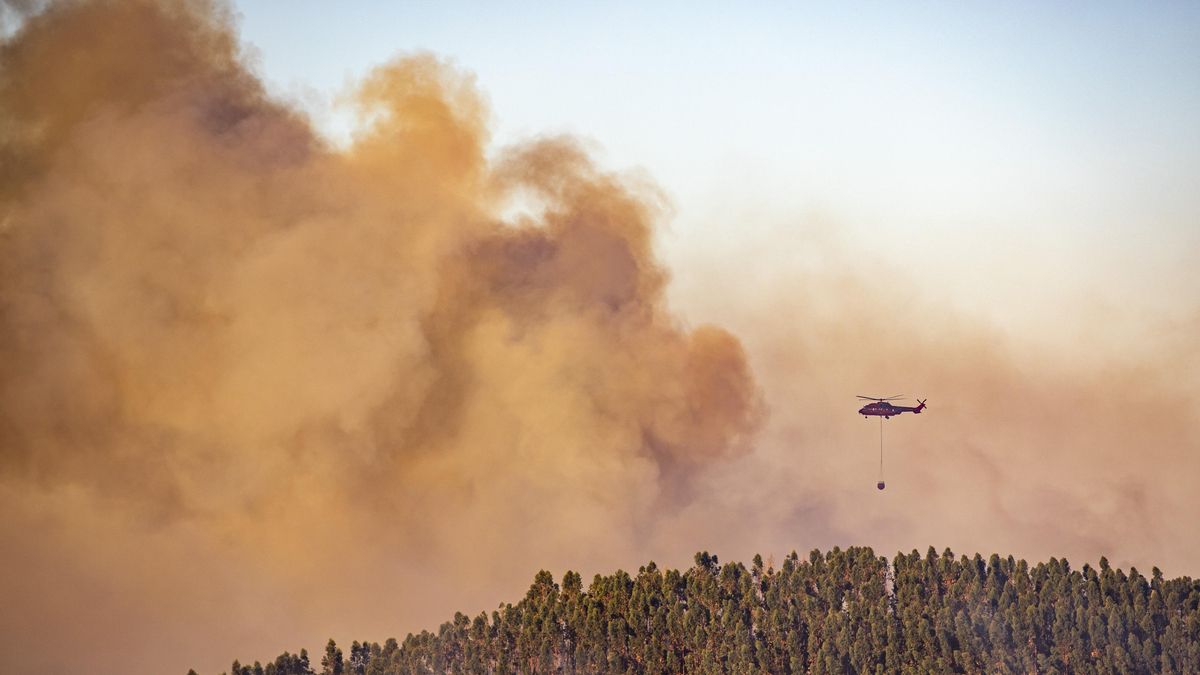 Imagen de este sábado del Incendio en Almonaster la Real (Huelva)