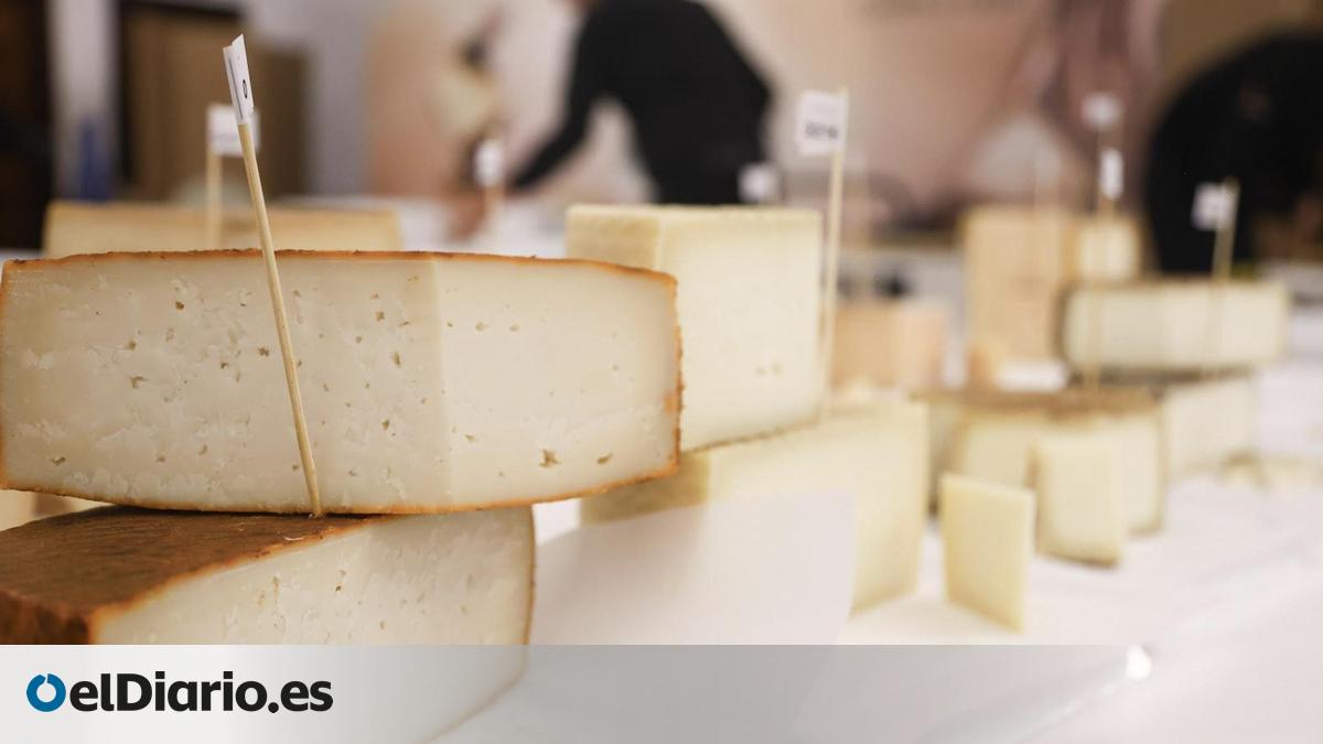 Five Award-Winning Canary Island Cheeses at the 2026 Cincho Cheese Awards