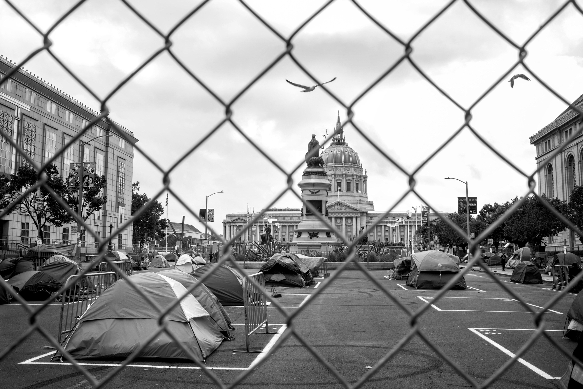 Foto de Darcy Padilla