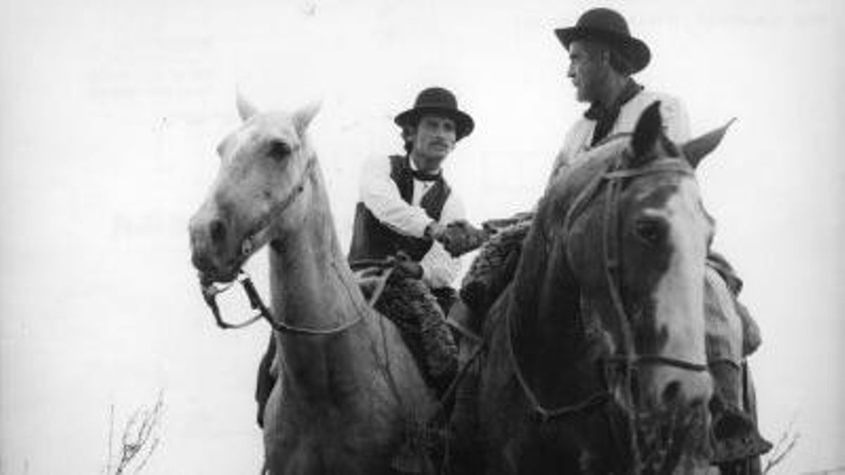Cien años de Don Segundo Sombra