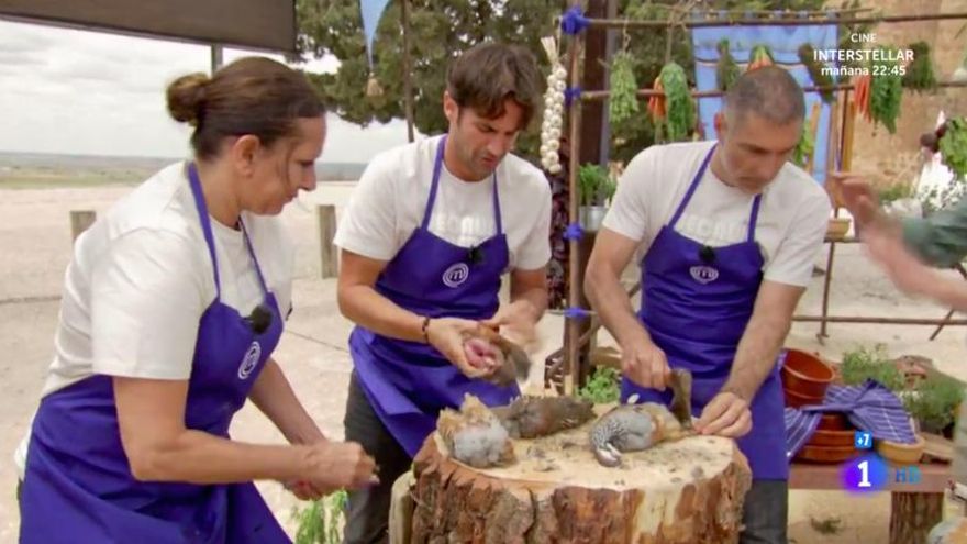 Desplumando a las aves