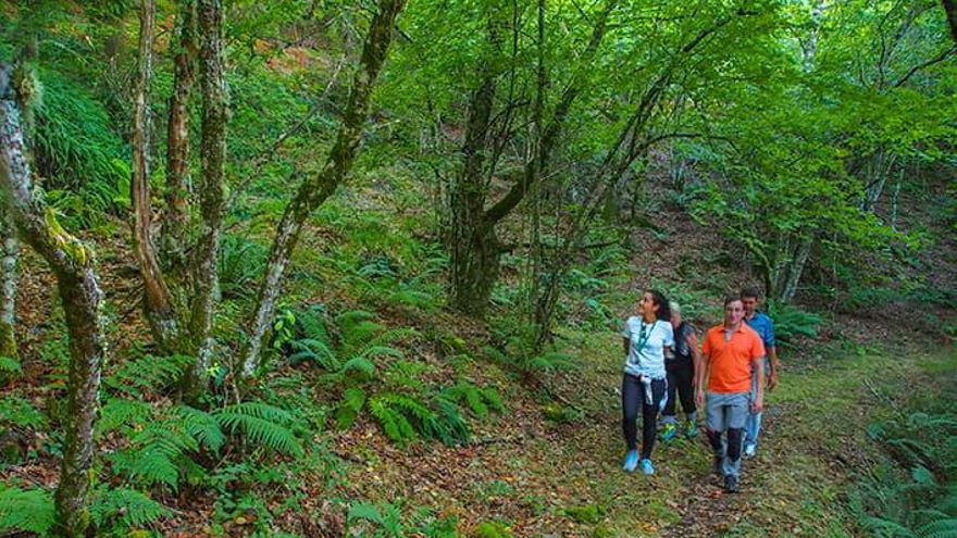 Siete rutas de senderismo poco transitadas para caminar sin agobios