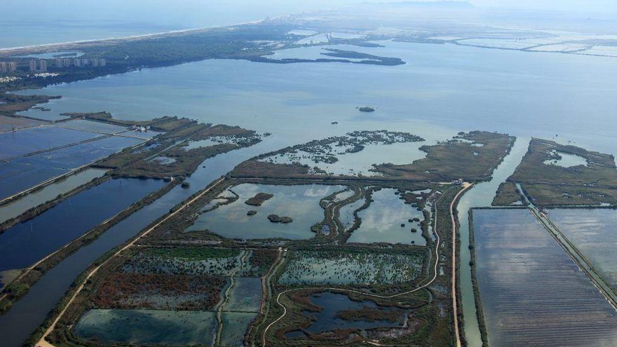 L'Albufera de València, un paraje natural en peligro por su "preocupante" estado de conservación