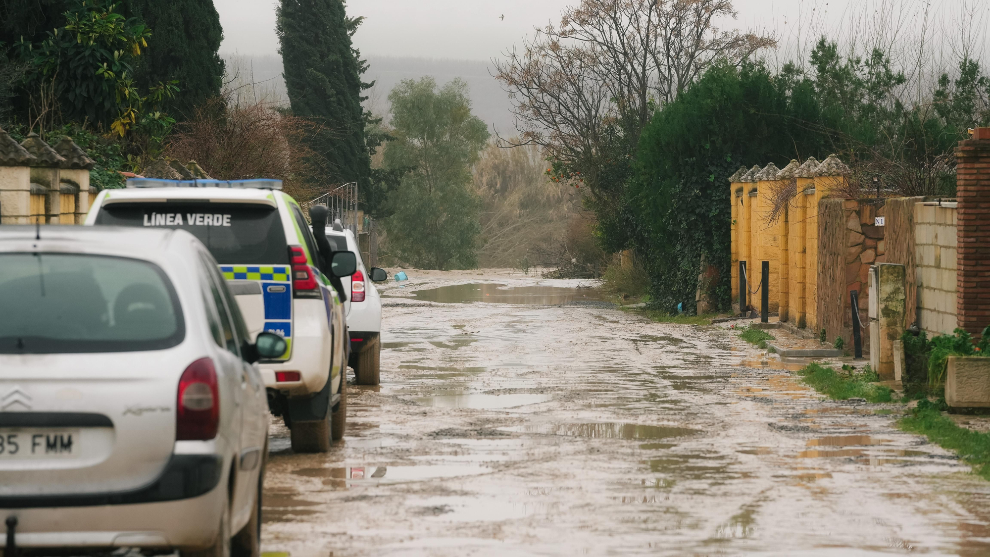 El lodo y el barro, dentro de las parcelas de las calles Perdiz y La Tórtola
