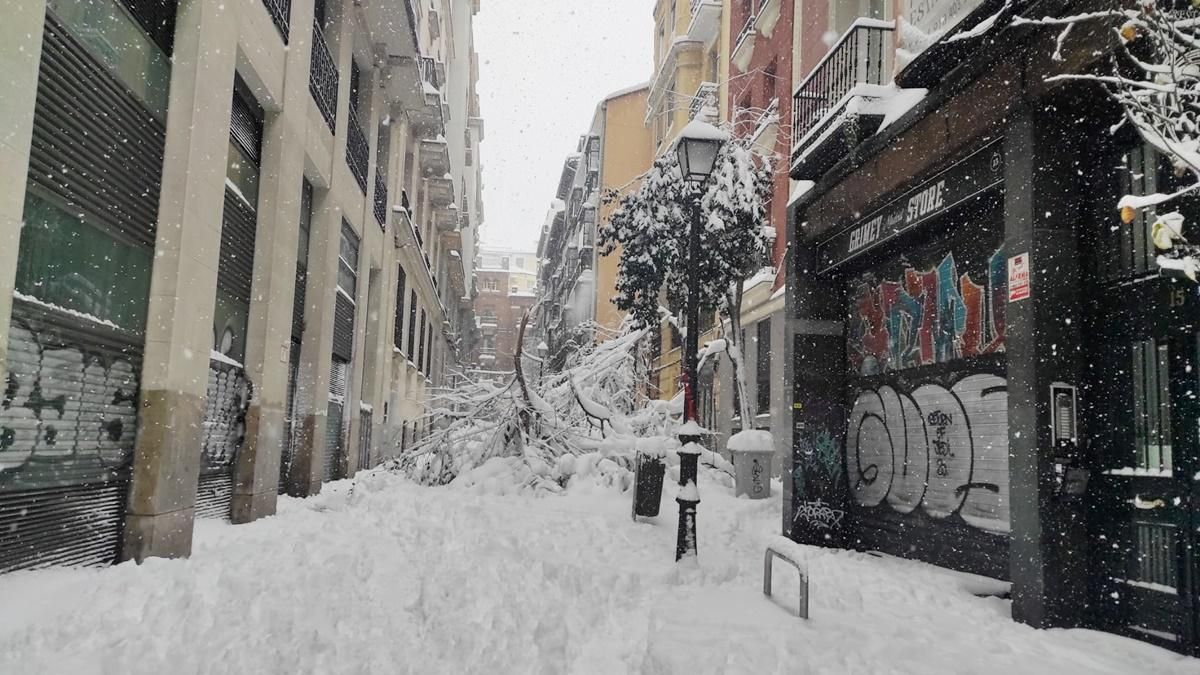 Ramas caídas en calle Reina