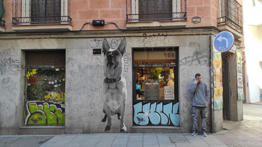 Liebre, intervención de Yipi Yipi Yeah