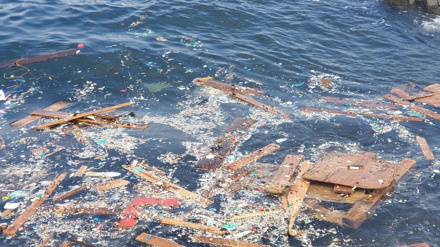 Madera y plásticos derivados del tráfico marítimo en la costa de Alegranza
