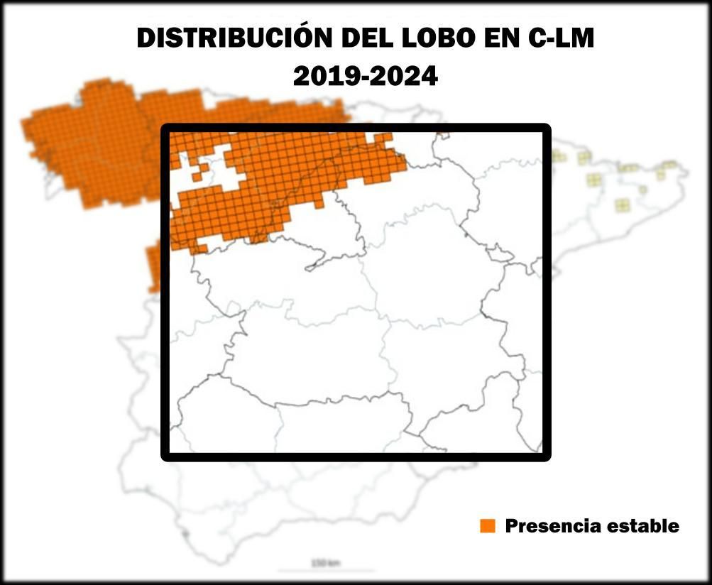 Distribución  del lobo ibérico en Castilla-La Mancha