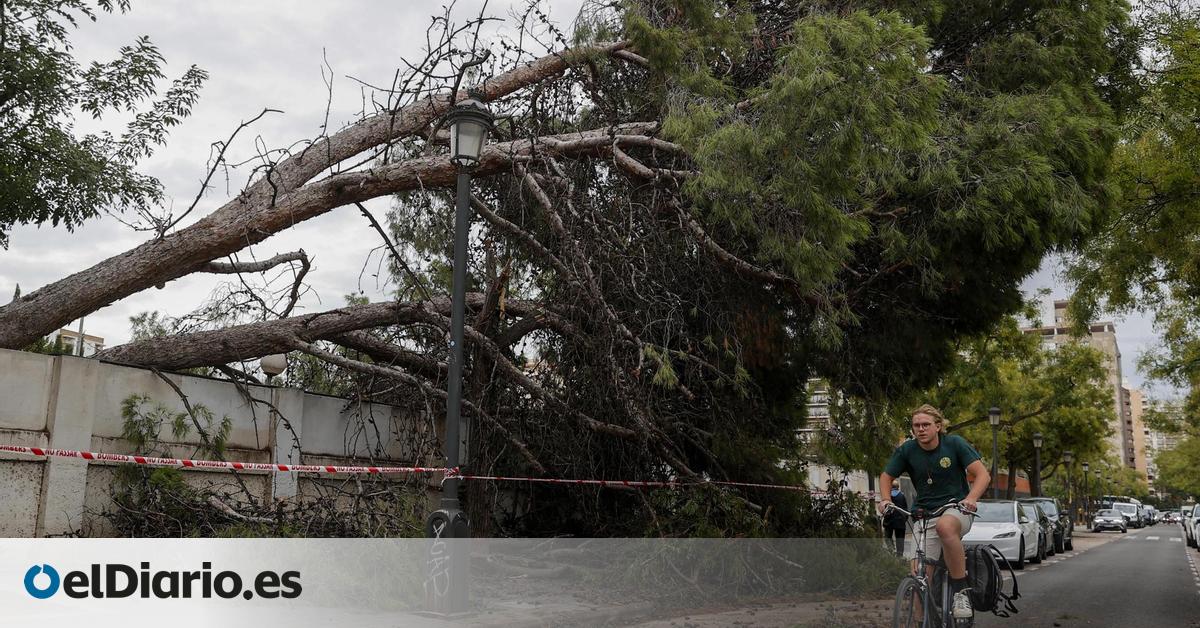 Aemet eleva a aviso rojo la alerta por lluvias torrenciales de hasta 100 litros en una hora en el litoral sur de València