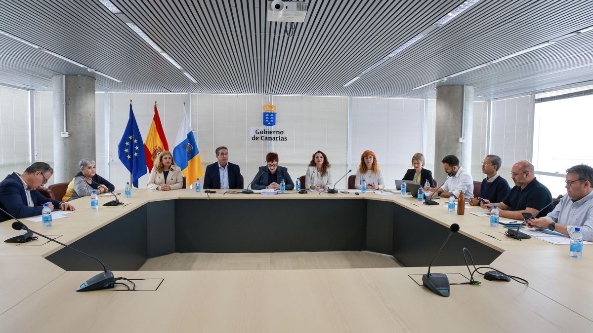 La consejera de Bienestar Social, Candelaria Delgado, presidió este viernes la reunión del pleno del órgano de asesoramiento y consulta.