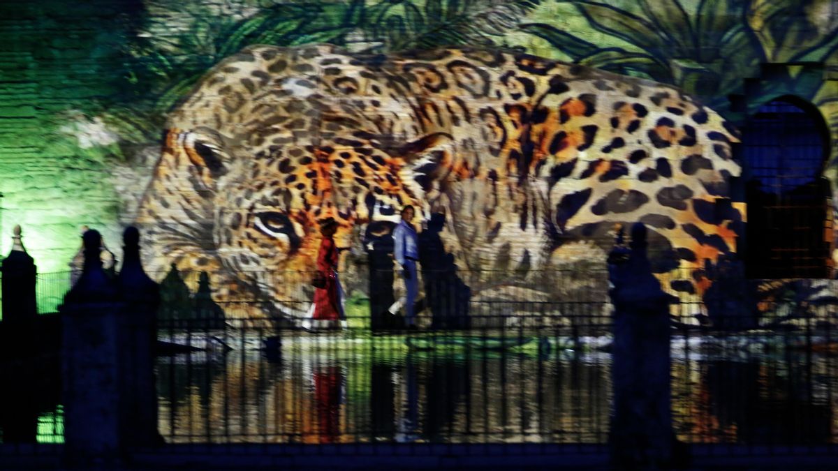 Nuevo espectáculo de Naturaleza Encendida en el Alcázar