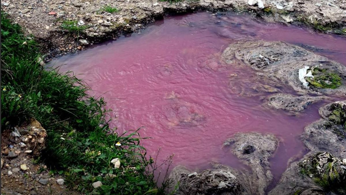 Kilos de desechos junto al vertido de aguas fecales e industriales se acumulan en la Rambla de Chirivel.