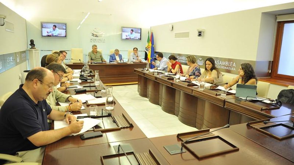 Los partidos extremeños no se ponen de acuerdo sobre el peso de la fiscalidad en la financiación autonómica