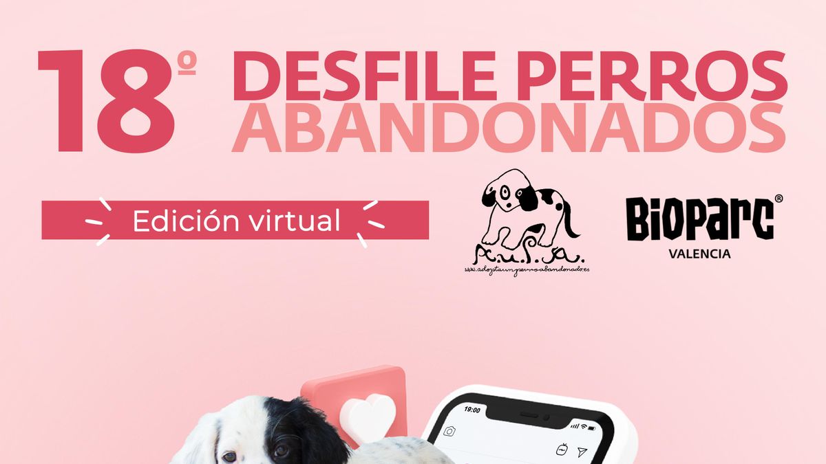 Cartel 18 desfiles perros abandonados
