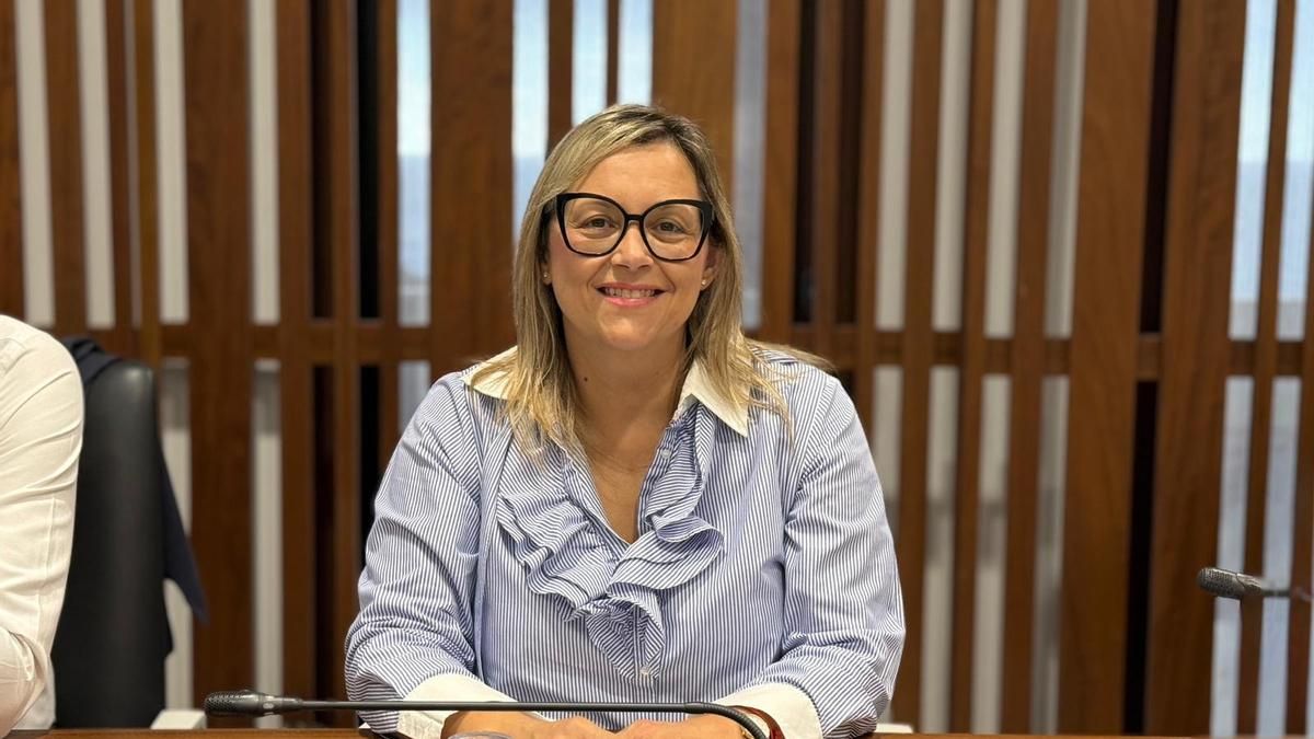 El Grupo Popular pide un plan continuo de limpieza y mantenimiento de los cauces de La Palma