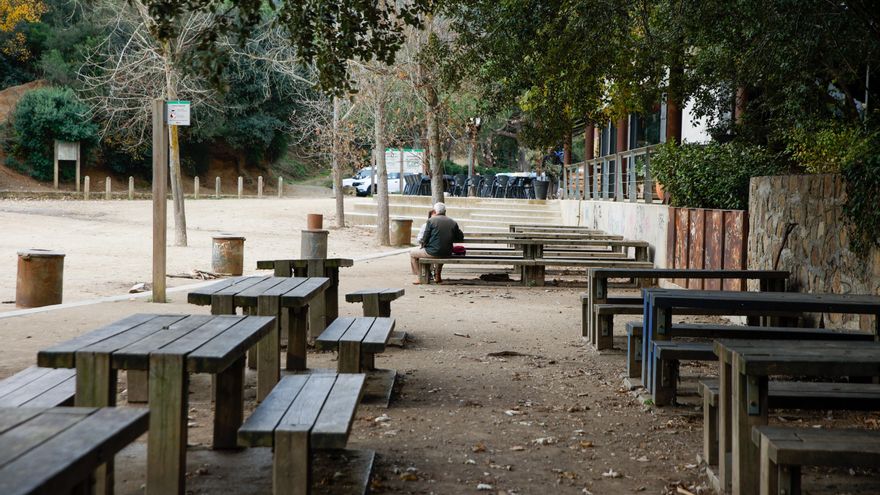 La peste porcina vacía Collserola de domingueros: "No hay casi gente, parece cuando la COVID"