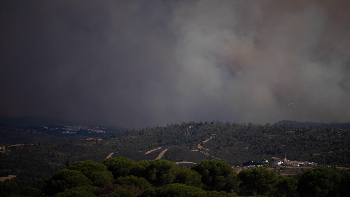 Imagen de zona afectada por el incendio de Niebla (Huelva).
