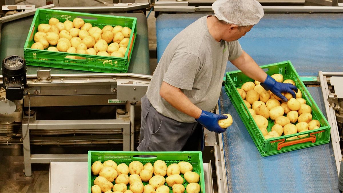 El récord de empleo en España pasa de largo por León: sigue perdiendo trabajadores en activo desde la crisis del 2008