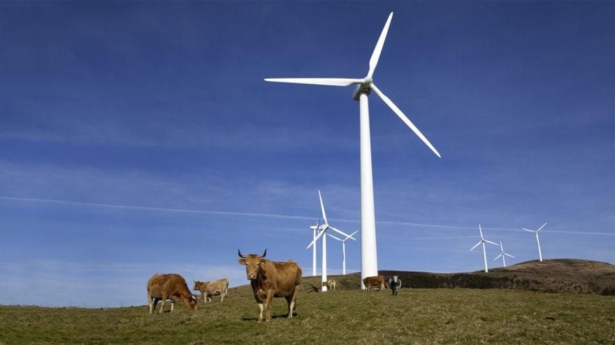Feijóo frena hasta 2023 todos los nuevos proyectos eólicos en Galicia