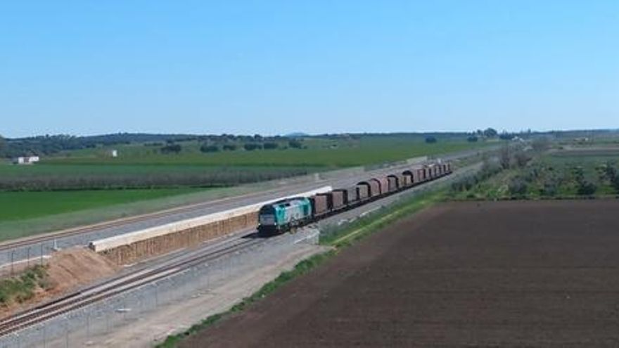 El tren mercancías siderúrgico, y a la derecha a lo lejos, casi imperceptible, la locomotora que viene a toda velocidad