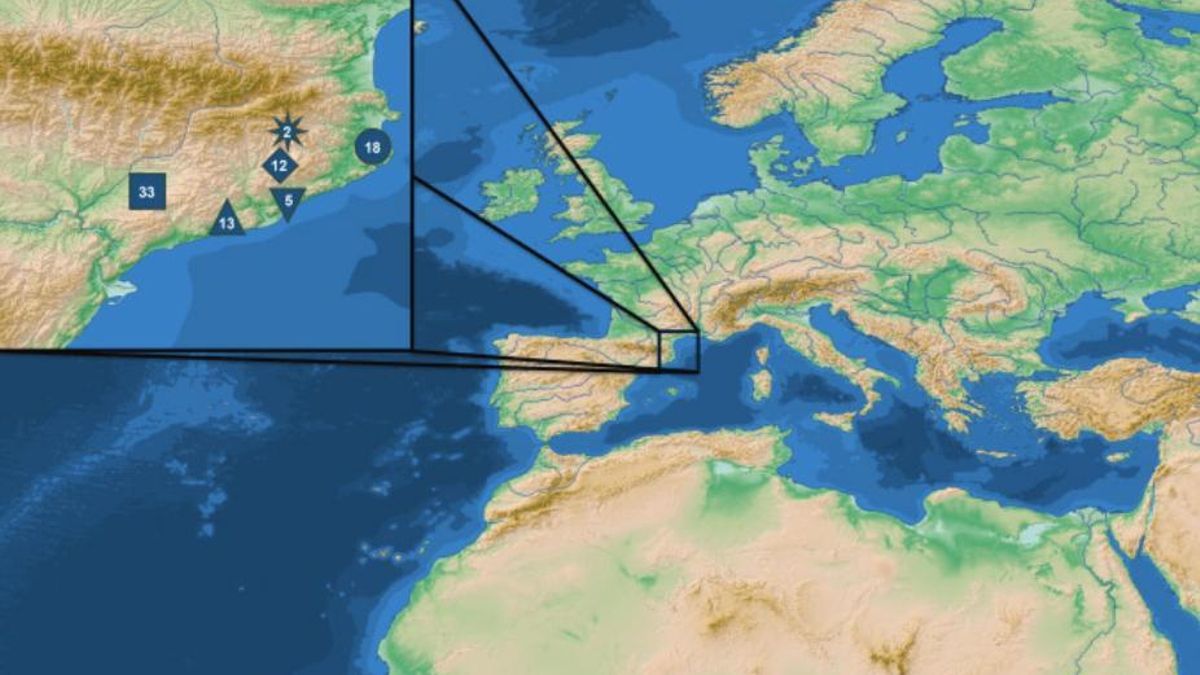 La estructura social de los pueblos íberos favoreció el movimiento constante de mujeres entre asentamientos